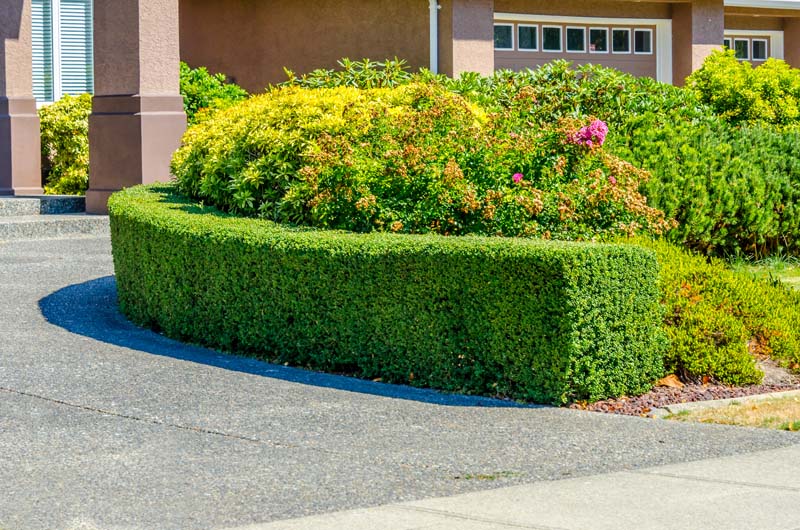 Entretien de jardin Rezé